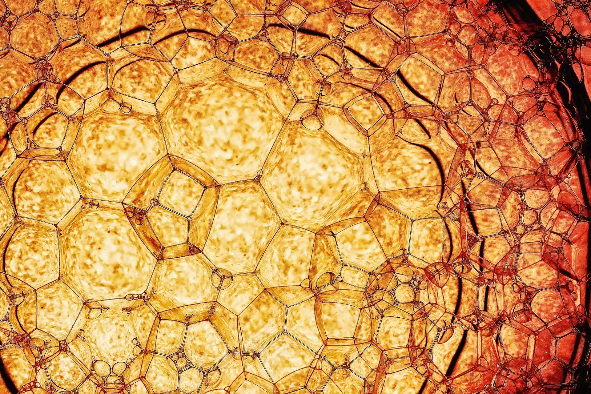 Gros plan sur de l'huile lubrifiante jaune