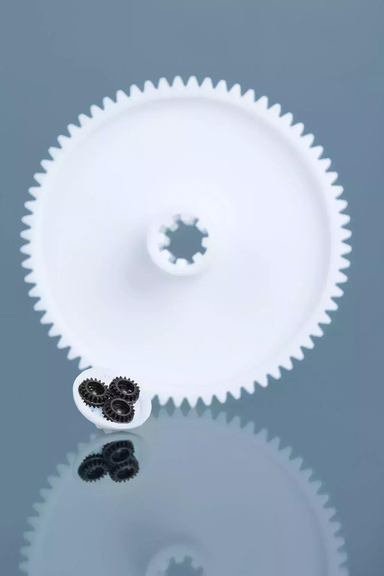 Roue dentée blanche