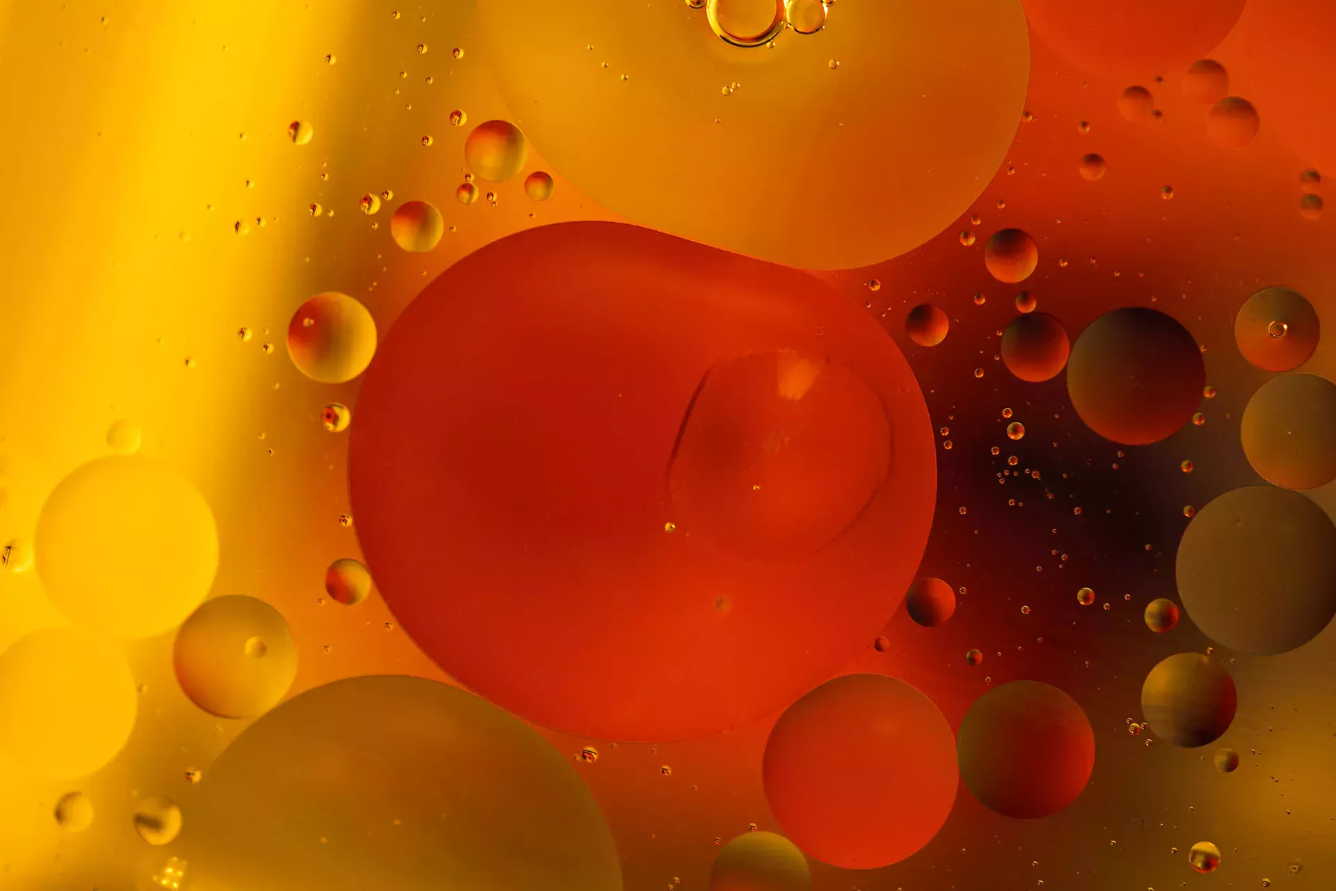 Capot ouvert d'une voiture