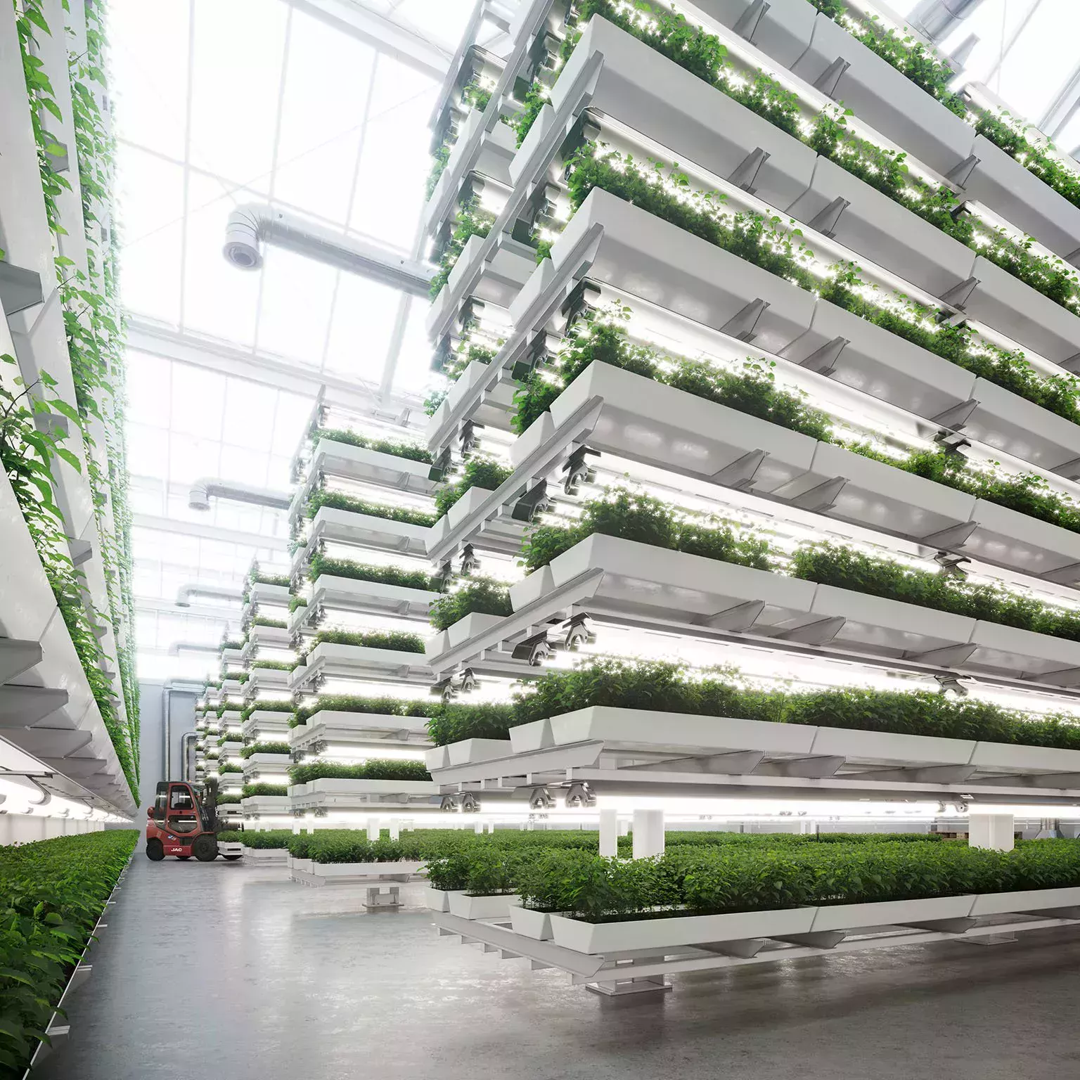 Installation de plantes avec un chariot élévateur